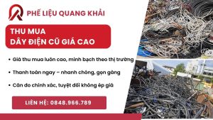 thu-mua-dauy-dien-cu-gia-cao